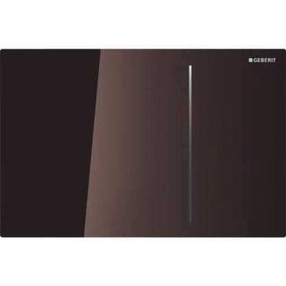 Flat black GEBERIT bathroom flushing panel with sleek modern design, suitable for contemporary bathrooms. Perfect for enhancing bathroom aesthetics and functionality.