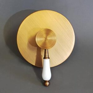 Brass toilet paper holder mounted on grey wall with a white and bronze handle, stylish bathroom accessory.